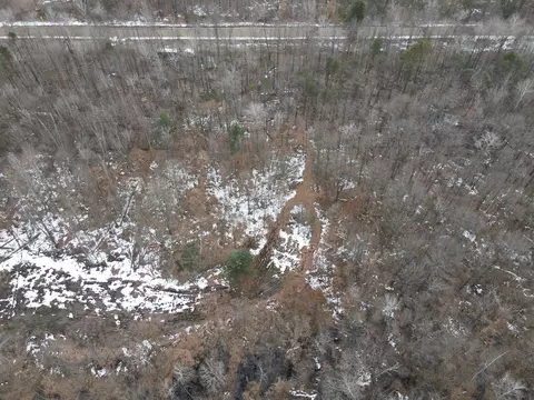 0 W Miller Rd, Shepherd, MI 48883 photo 11
