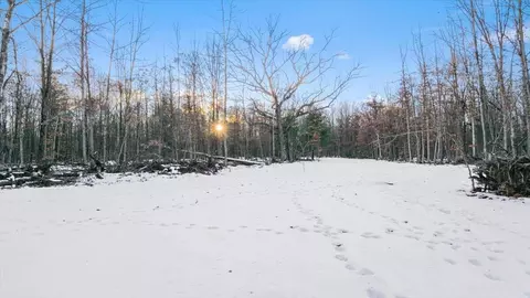 0 W Miller Rd, Shepherd, MI 48883 photo 8