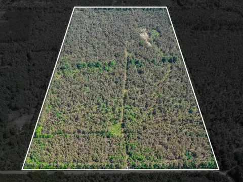 V/l N Webb Road, Hessel, MI 49745