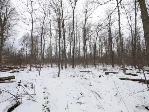 Baseline Road, Gobles, MI 49055 photo 3
