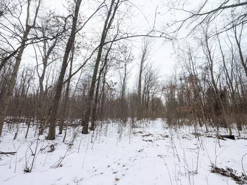 Baseline Road, Gobles, MI 49055 photo 2