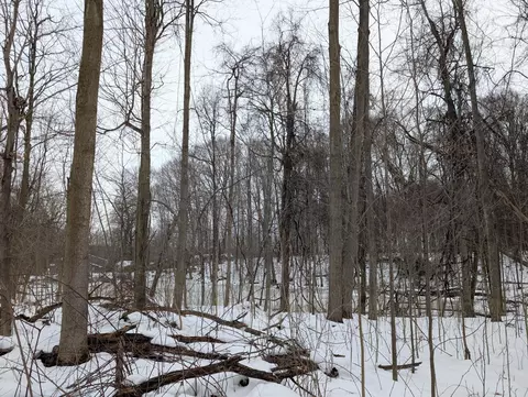 Baseline Road, Gobles, MI 49055 photo 4