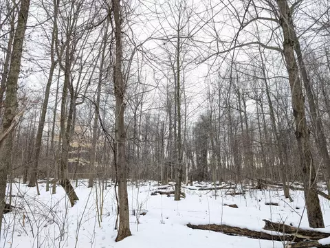 Baseline Road, Gobles, MI 49055 photo 5