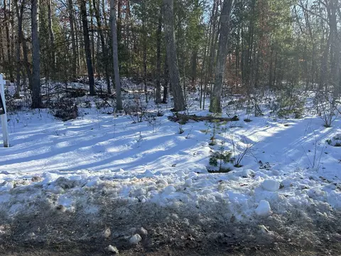 V/l Lake Drive, Idlewild, MI 49642