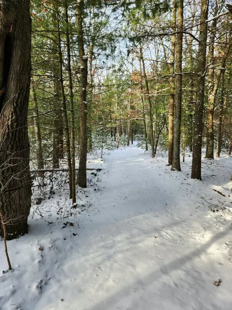 5301 E Bittersweet Ln, White Cloud, MI 49349 photo 49