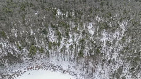 5301 E Bittersweet Ln, White Cloud, MI 49349 photo 38