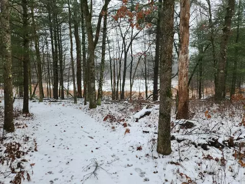 5301 E Bittersweet Ln, White Cloud, MI 49349 photo 50
