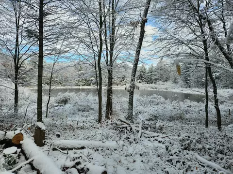 5301 E Bittersweet Ln, White Cloud, MI 49349 photo 45