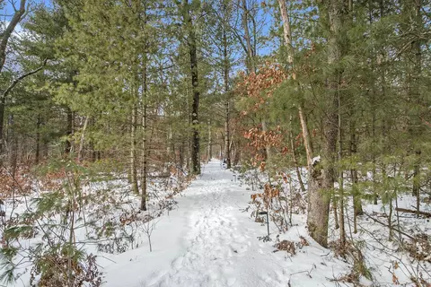 5301 E Bittersweet Ln, White Cloud, MI 49349 photo 30