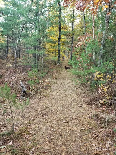 5301 E Bittersweet Ln, White Cloud, MI 49349 photo 42