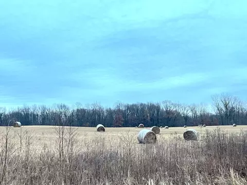 Timm, Centreville, MI 49032