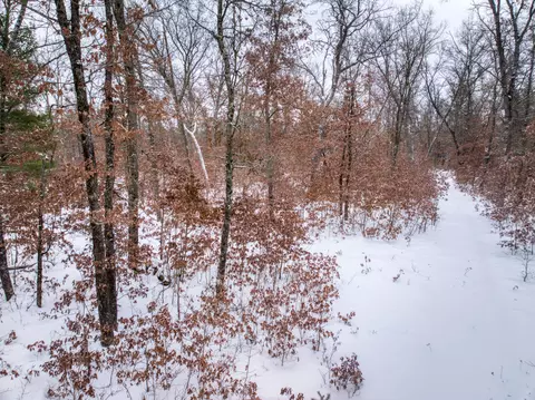 V/l Bristol Street, Baldwin, MI 49304 photo 6