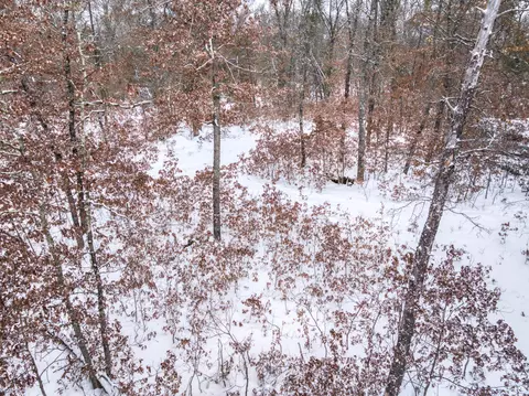 V/l Bristol Street, Baldwin, MI 49304 photo 7