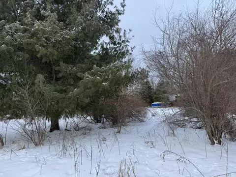 6 Mile Rd, Irons, MI 49644 photo 11