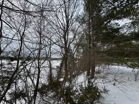 6 Mile Rd, Irons, MI 49644 photo 9