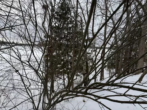 6 Mile Rd, Irons, MI 49644 photo 7