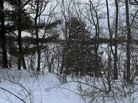 6 Mile Rd, Irons, MI 49644 photo 3