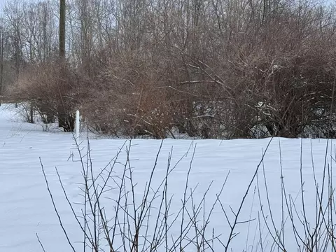 6 Mile Rd, Irons, MI 49644 photo 5