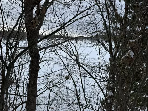 6 Mile Rd, Irons, MI 49644 photo 6