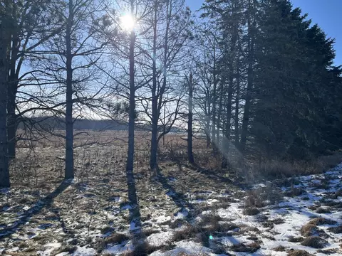 Par A Mckendry Road, Ionia, MI 48846