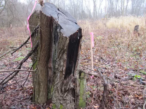Haines Road, Three Rivers, MI 49093 photo 3