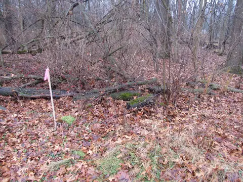 Haines Road, Three Rivers, MI 49093