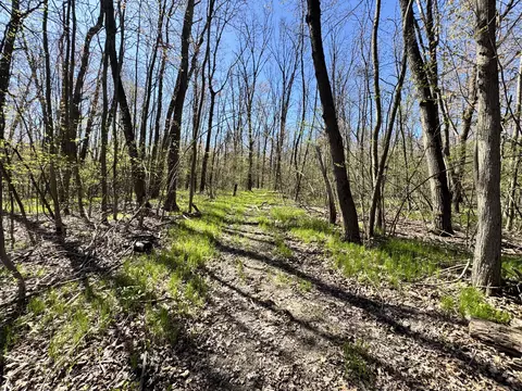 V/l 3 Mile Road, White Cloud, MI 49349