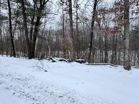 V/l Grand Blvd, White Cloud, MI 49349