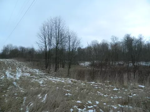 Mckenzie Street, Cassopolis, MI 49031
