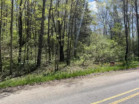 00000 W Clear Lake Rd, Three Rivers, MI 49093
