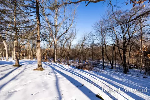 1185 Cramton Ave NE, Ada, MI 49301 photo 57