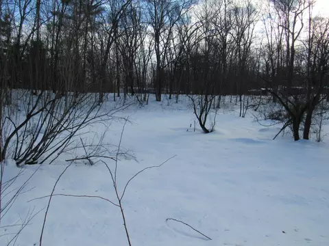 V/l Marion Street, Wellston, MI 49689