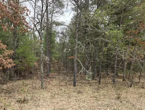 V/l E 44th, Idlewild, MI 49642 photo 2