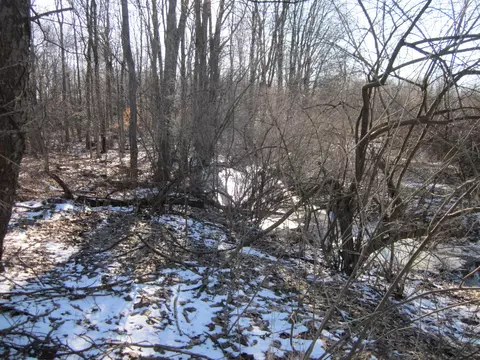 29 Th St, Gobles, MI 49055 photo 2