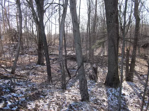 29 Th St, Gobles, MI 49055 photo 3