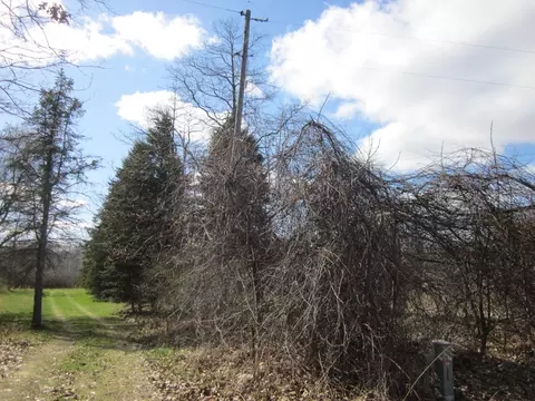 29 Th St, Gobles, MI 49055 photo 4