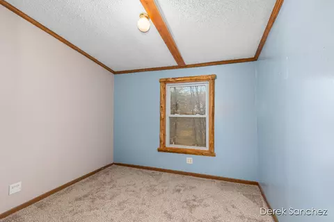 1872 E Shane Dr, Bitely, MI 49309 photo 13