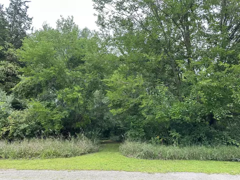 lot67 Bellflower Dr, Brooklyn, MI 49230