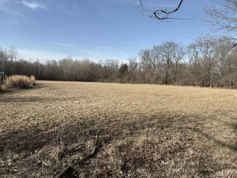 Ft. Custer Drive, Galesburg, MI 49053