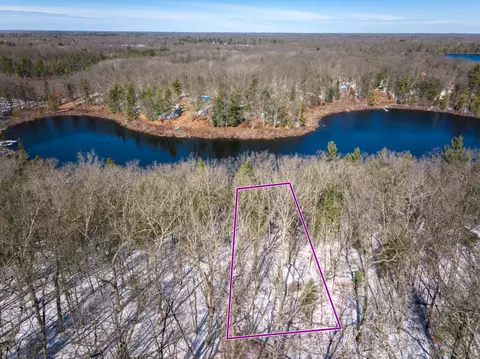 V/l N Perch Lake Drive, Bitely, MI 49309