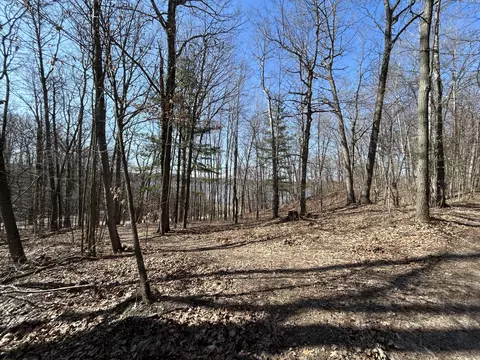 Hill View Drive, Six Lakes, MI 48886