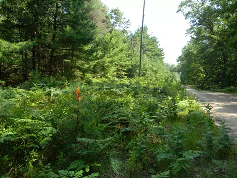 n 56th avenue, Pentwater, MI 49449