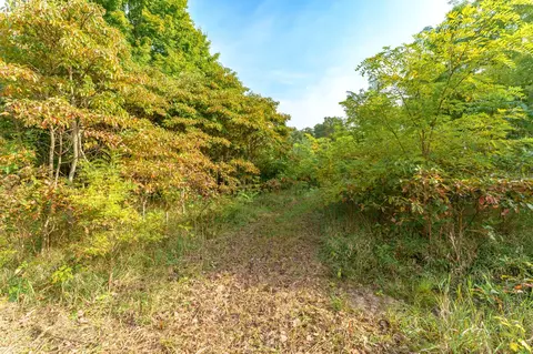 60 Th Ave, Mattawan, MI 49071 photo 5