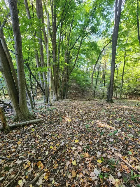 Filmore Road, Hart, MI 49420