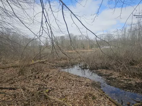 Vl W Lincoln Avenue, White Cloud, MI 49349