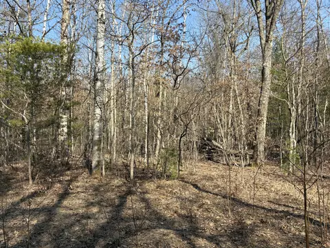 V/l James Street, Wellston, MI 49689