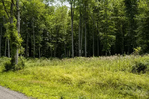 0 Youngren Rd, Harbert, MI 49115 photo 14