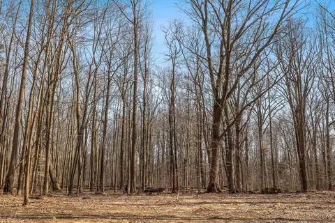 0 Youngren Rd, Harbert, MI 49115 photo 23