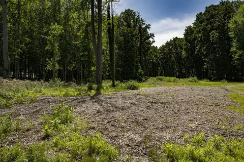 0 Youngren Rd, Harbert, MI 49115 photo 4
