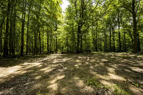 0 Youngren Rd, Harbert, MI 49115 photo 17